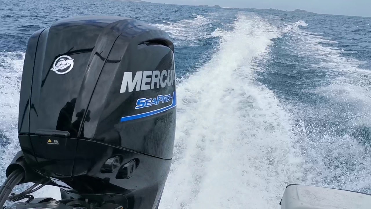 Mercury 115EXLPT SeaPro